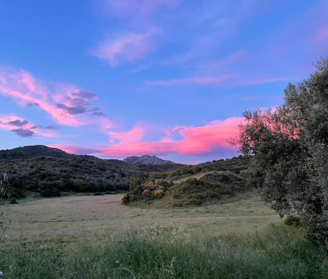 Nuit Calme Sur Domaine Apartment Калкатоджио Екстериор снимка